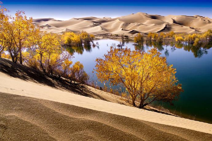 新疆,历史长河中的璀璨明珠闪耀之地